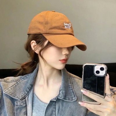 该计划